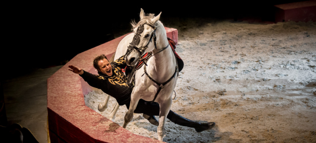 Spectacle hippique - Art'Ata! - Faiseurs de rêves