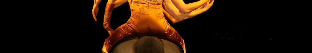 Cirque équestre