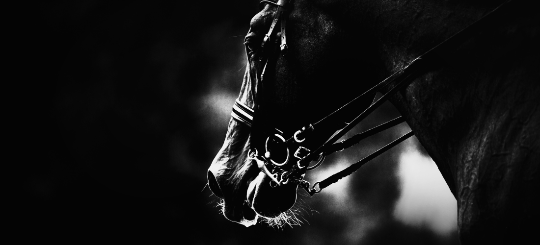 Cirque éducatif Reims - Art'Ata!